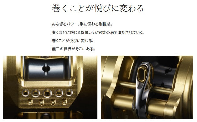 Shimano 22 Calcutta Conquest 201XG (Left handed)