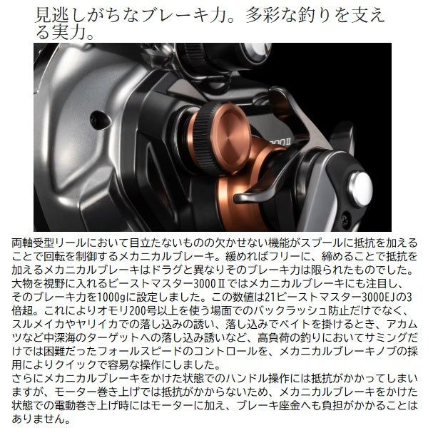 Shimano 26 Beast Master 3000II