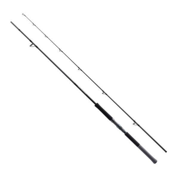 Shimano Shore Jigging Rod 25 Salty Advance Shore jigging S96MH (Spinning 2 piece)