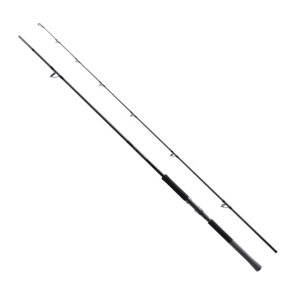 Shimano Shore Jigging Rod 25 Salty Advance Shore jigging S96M (Spinning 2 piece)
