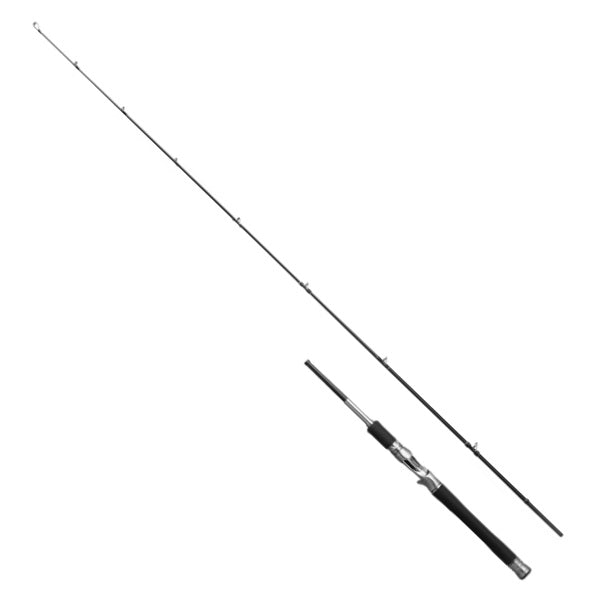Shimano 25 Lesath 15102R-2 (Baitcasting 2 piece)