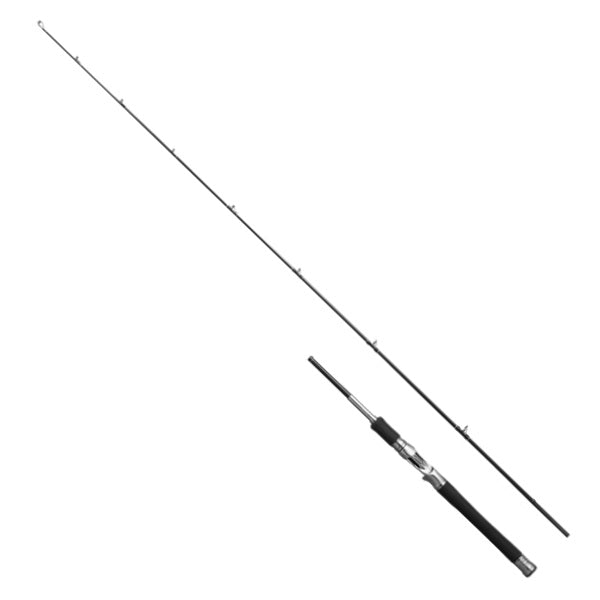 Shimano 25 Lesath 15103RS-2 (Baitcasting 2 piece)