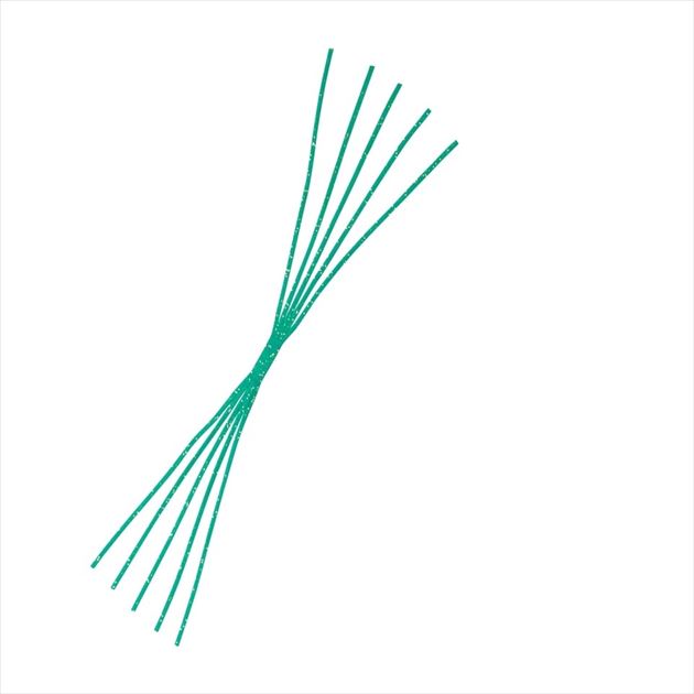 Shimano Tairaba Engetsu Raku chain skirt ED-S01U 003 Green Lame