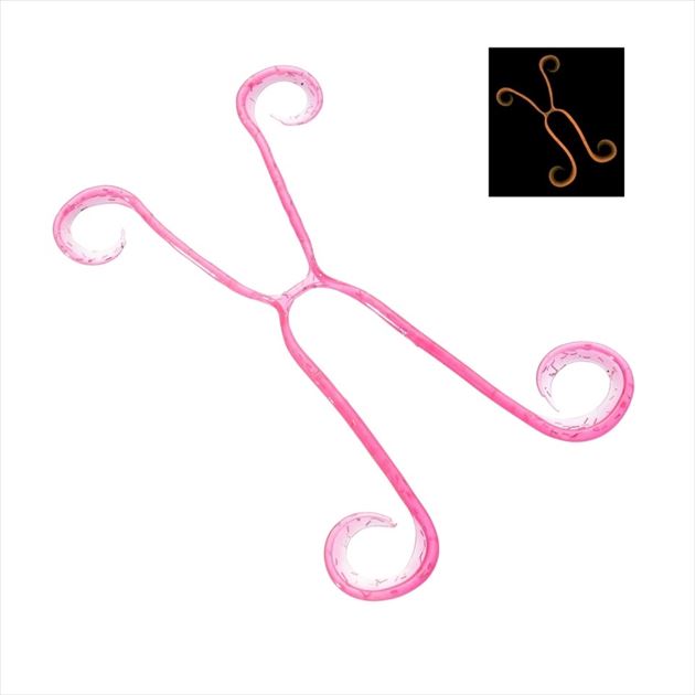 Shimano Tairaba Engetsu Ikatako 4 ED-V01U 005 Pink Lame