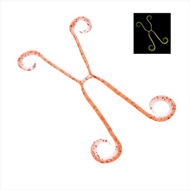 Shimano Tairaba Engetsu Ikatako 4 ED-V01U 006 Orange Lame