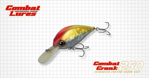combat fishing lures Evergreen Bass Lure Combat Crank 250 #257 Damonde Shad