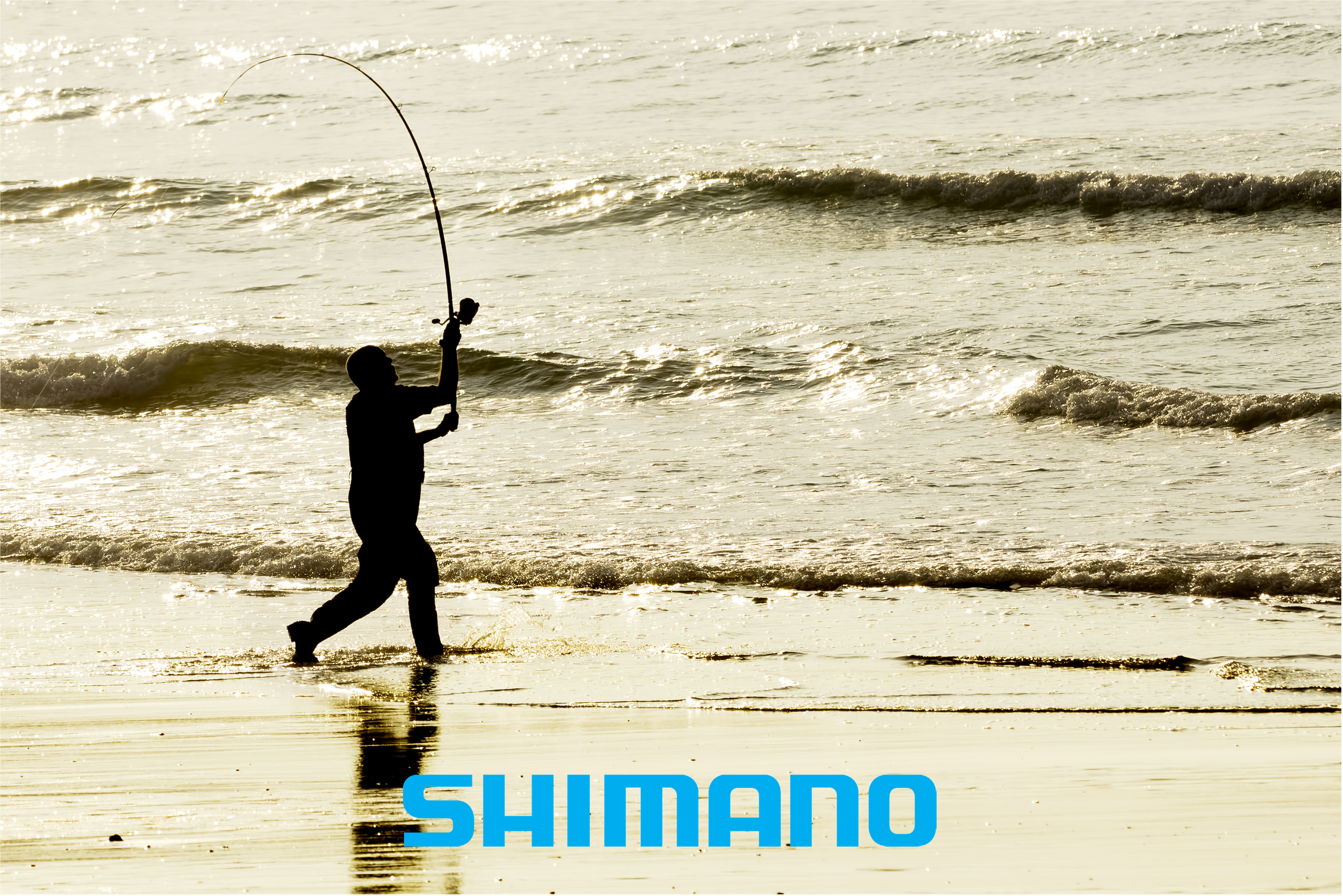 Shimano 2025 New reels and rods add arrival!