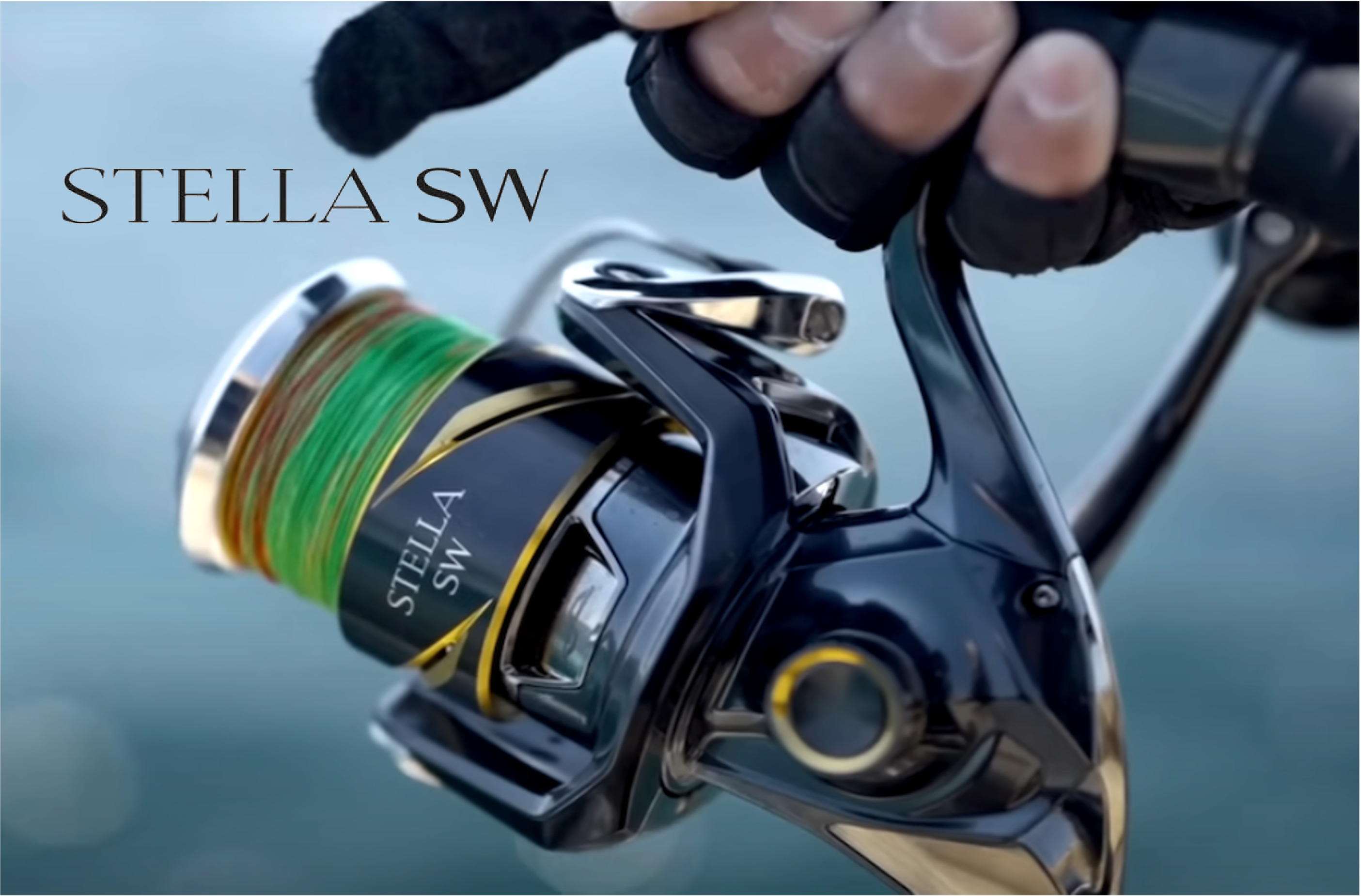 New Shimano Reels & Rods - Now available!