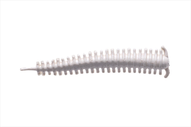 Berkley Gulp! Saltwater Sandworm 2 White