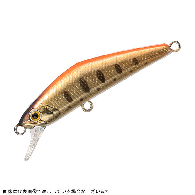 Smith D-Compact 38 Orange Haku 10