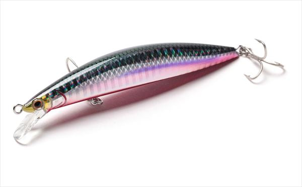 Jackson Seabass Lure Athlete+105SVG SKR Seguro Anchovy