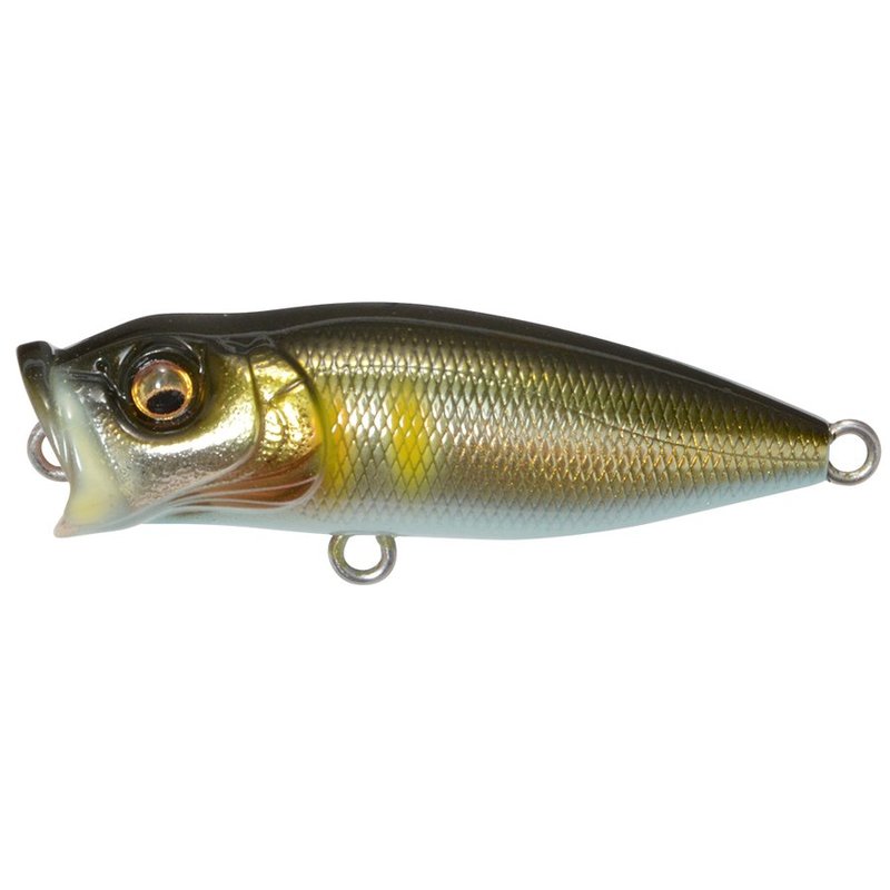 Megabass Bass Lure Baby POP-X Takumi Seochi Sweetfish