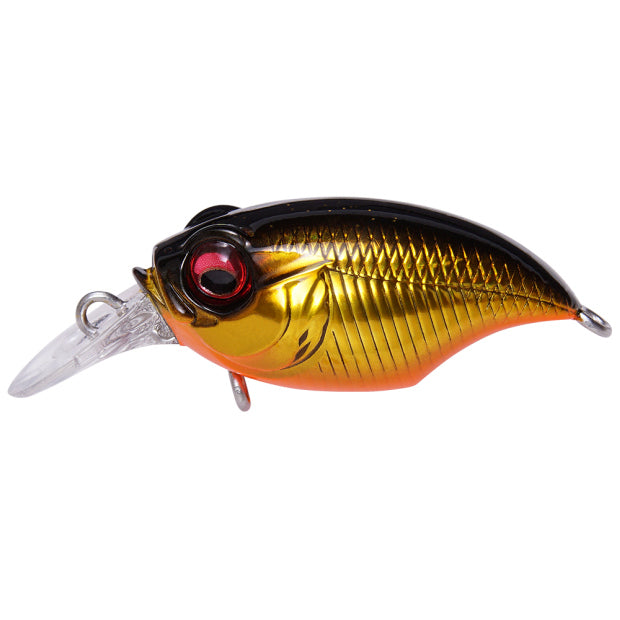 Megabass Griffon Bait Finesse SR-X GG Megabass Kinkuro