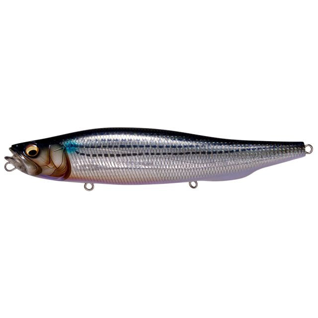 Megabass Seabass Lure Megadog Urato Maret