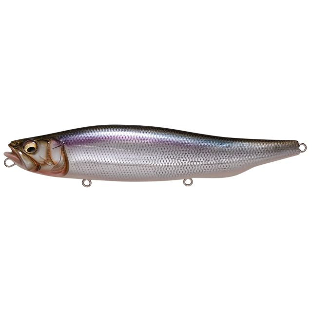 Megabass Seabass Lure Megadog Live Shiner