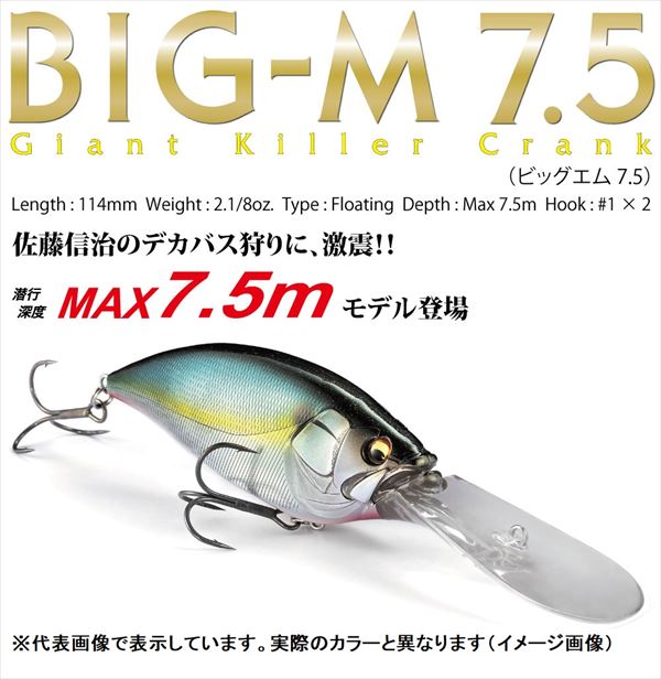 fish lure gaint killer Megabass Big M 7.5 Crankbait