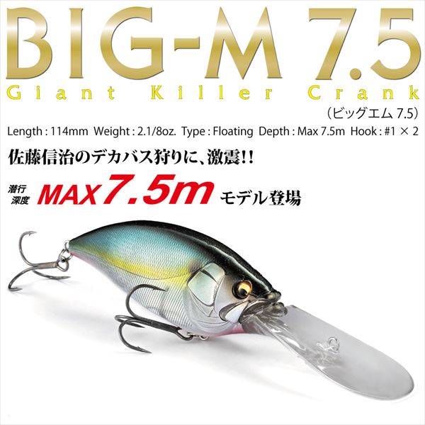 Megabass Big-M 7.5 Jukucyo Shad