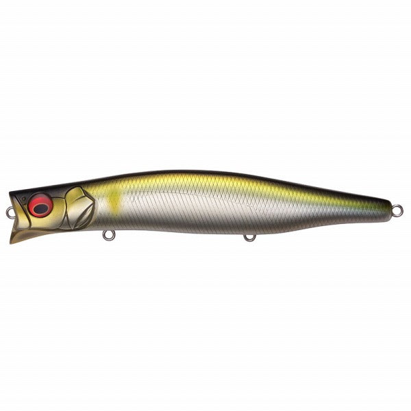 Megabass Seabass Lure Kagelou 155F Tatsu Ayu