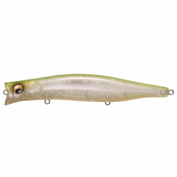 Megabass Seabass Lure Kagelou 155F Skeleton Chart