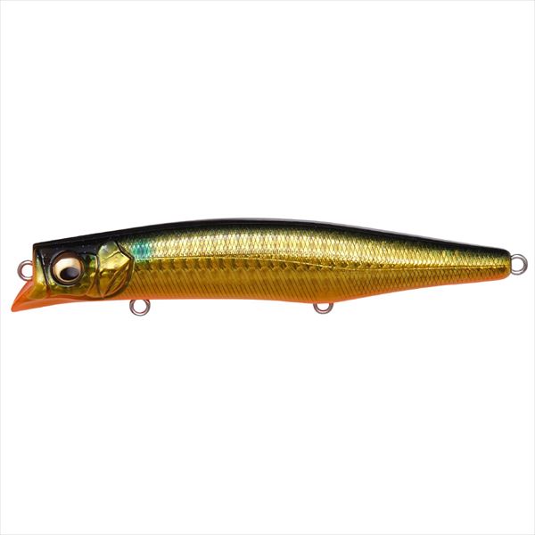 Megabass Seabass Lure Kagelou MD 125F GG Kin Bora