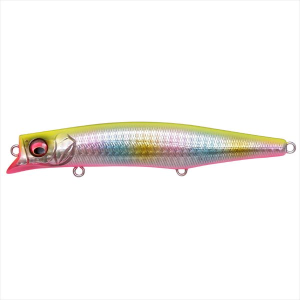 Megabass Seabass Lure Kagelou MD 125F GG Chart Back Rainbow PB