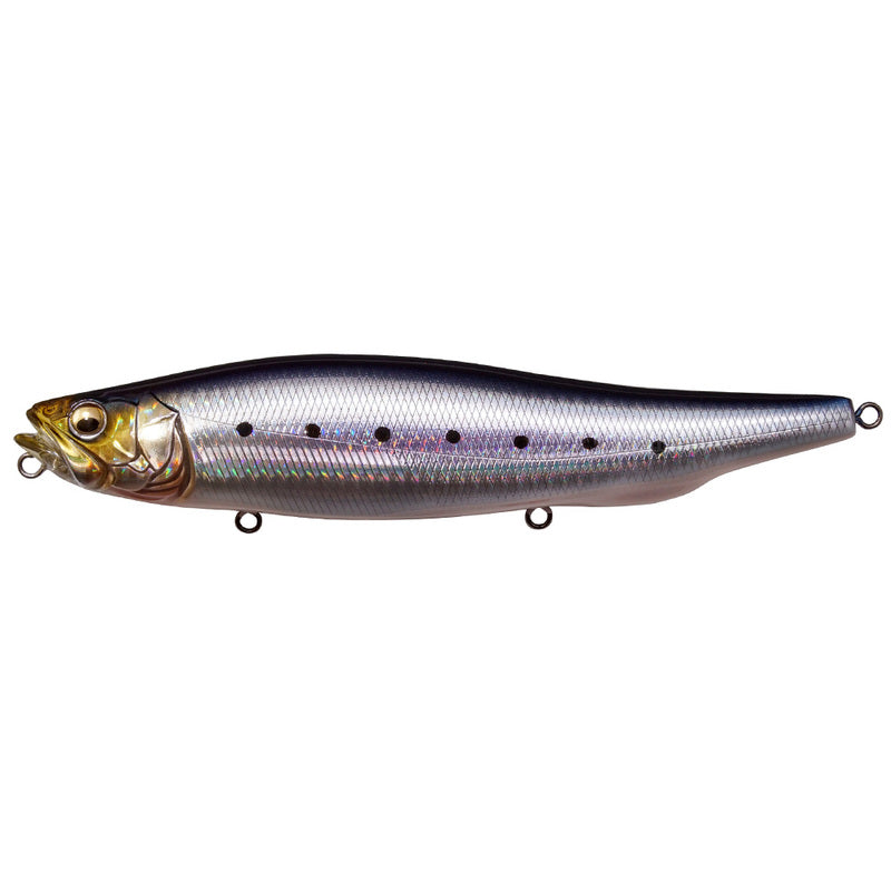 Megabass Seabass Lure Megadog 180 GG Iwashi