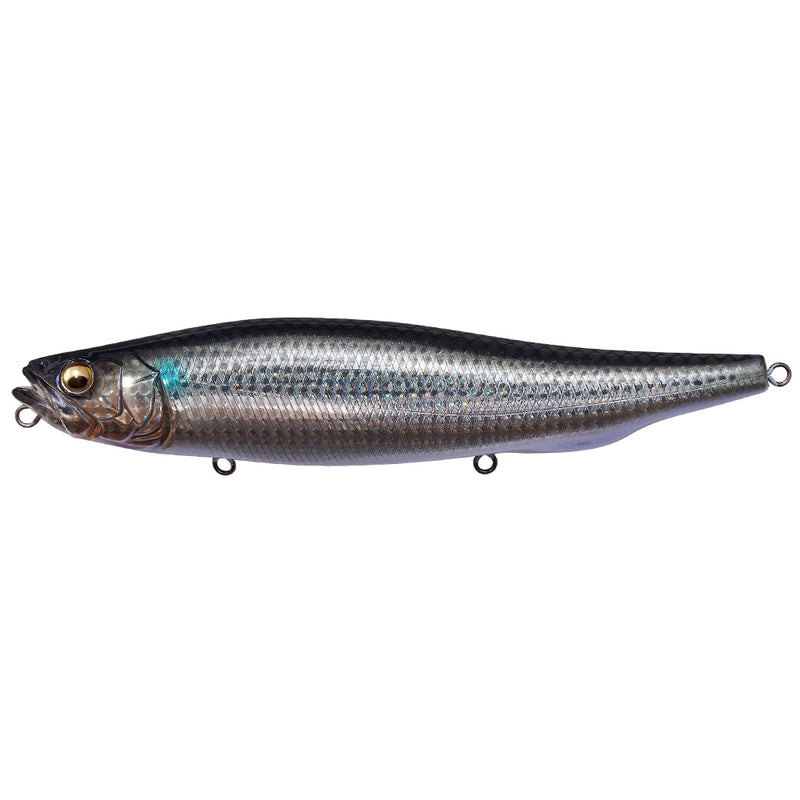 Megabass Seabass Lure Megadog 180 GG Bora 49144