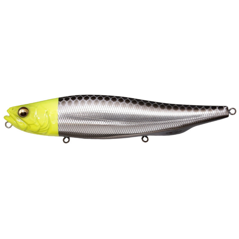 Megabass Seabass Lure Megadog 180 M Chart Head 49148