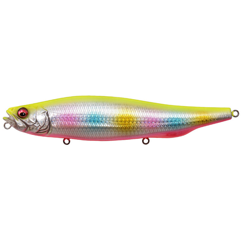 Megabass Seabass Lure Megadog 180 GG Chart Back Rainbow PB 49149