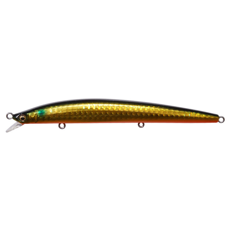 Megabass Seabass Lure Cookai Slim 120 Gg Kimbora