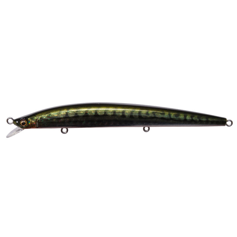 Megabass Seabass Lure Cookai Slim 120 Fa Green Mccarrel