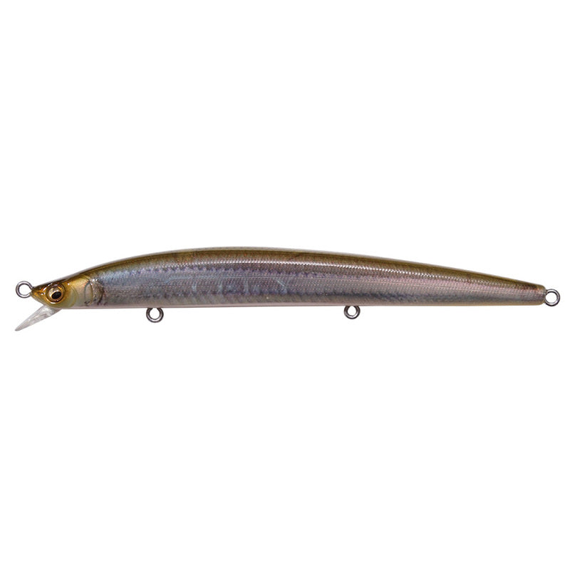 Megabass Seabass Lure Cookai Slim 120 FA Enshu Kisu 49387