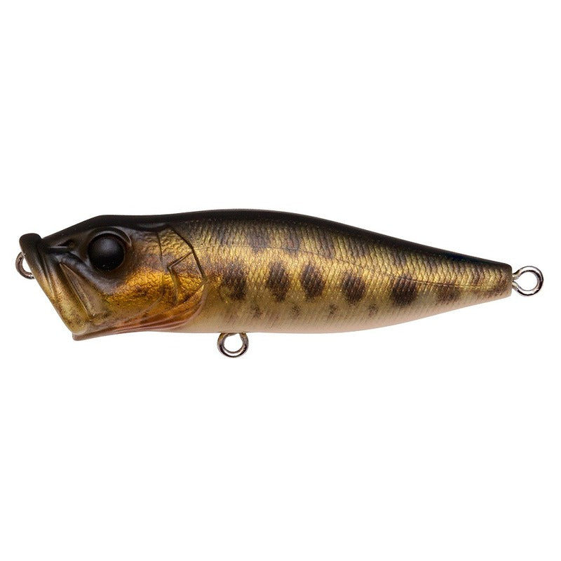 Megabass Bass Lure POP-X FA Baby Snakehead