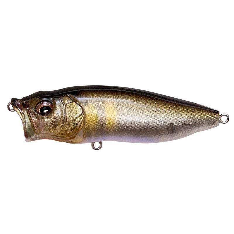 Megabass Bass Lure POP-Max FA Rapid Ayu