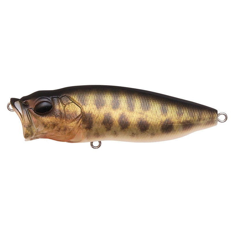 Megabass Bass Lure POP-Max FA Baby Snakehead