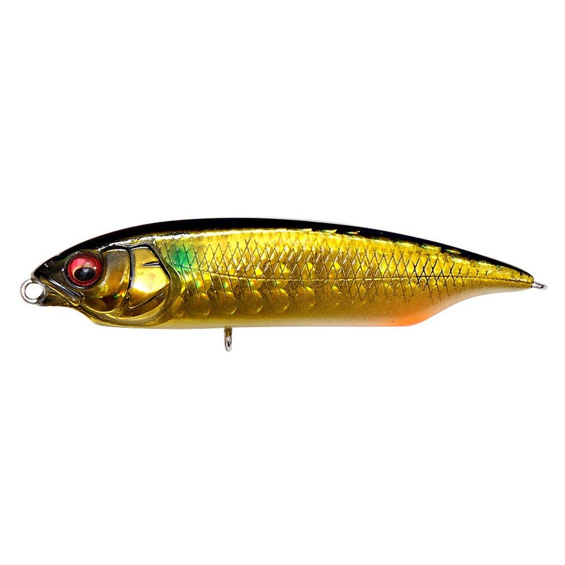 Megabass Seabass Lure Karashi SW SS GG Gold Mullet