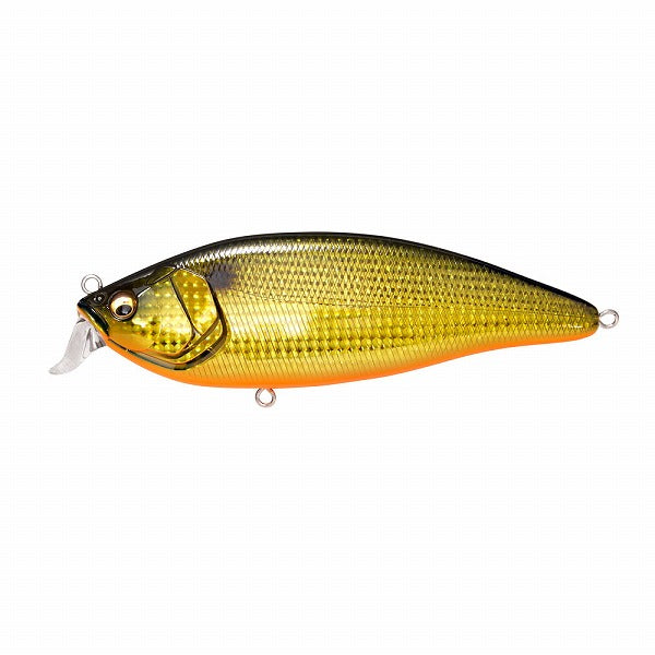 Megabass Seabass Lure Konoshirus Shad F GG Gold Conoshiro