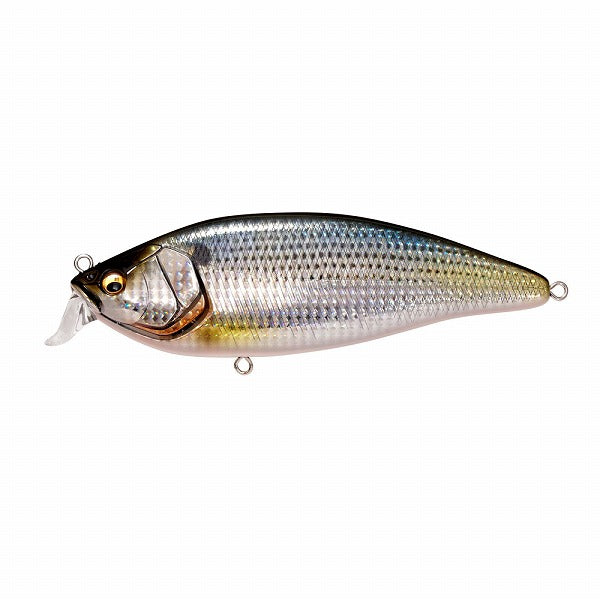 Megabass Seabass Lure Konoshirus Shad F FA Conoshiro