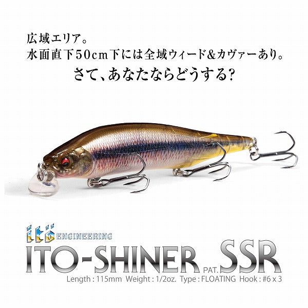 Megabass Bass Lure ITO Shiner SSR GG Perch