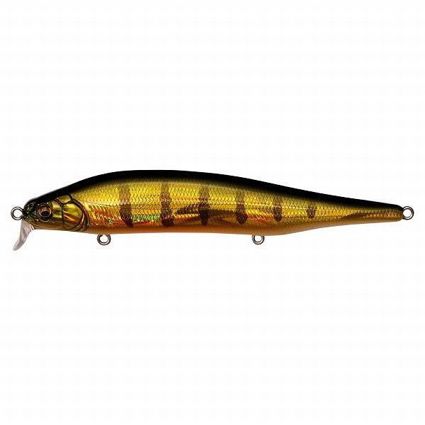 Megabass Bass Lure ITO Shiner SSR GG Perch