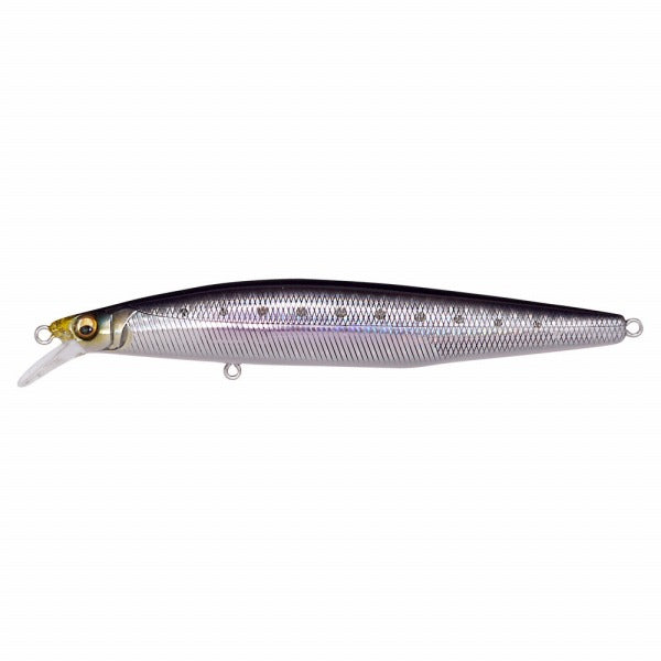 Megabass Seabass Lure Marine Gang Cookai 120F GG Sardine