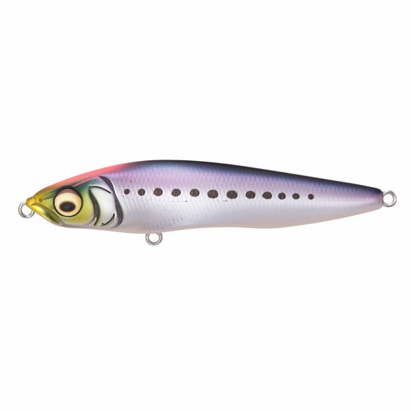 Megabass Seabass Lure　Homura 86 Oboroiwashi