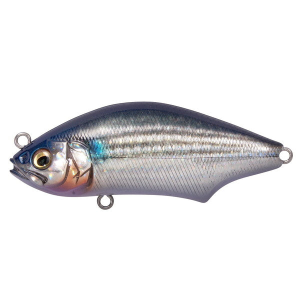 Megabass Seabass Lure Hadara Trap FA Bora