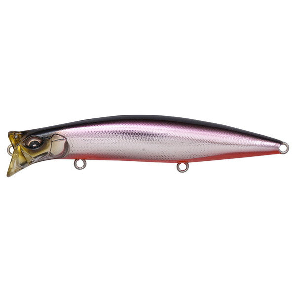 Megabass Seabass Lure Kirinji 120 M Anchovy RB