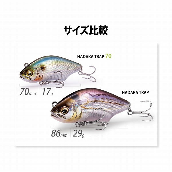 Megabass Seabass Lure Hadara Trap 70 FA Mullet