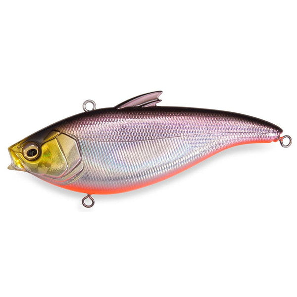 Megabass Seabass Lure Hadara Vib SH RB Shad