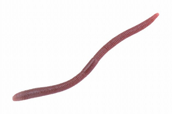 Jackall Flick Shake 3.8inch 2 Tone Earthworm