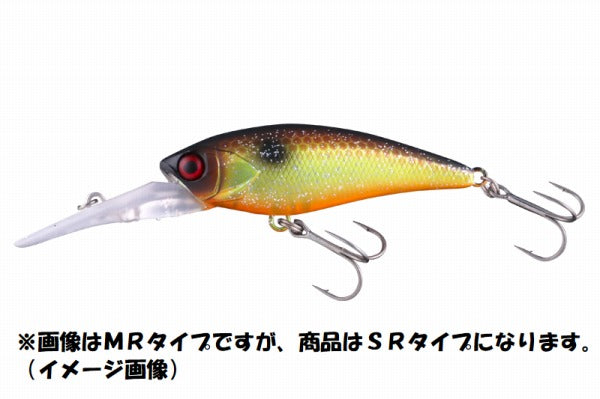 Jackall D-Bill Shad 55SR Maddy Chartfish