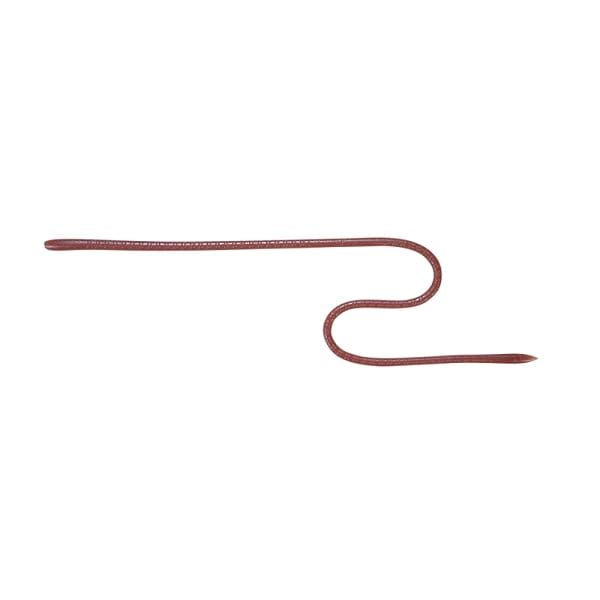 Jackall Worm Long "M" 16inch Light Earthworm