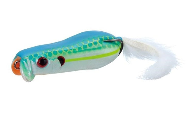 Evergreen Bass Lure MoDO Shower Blows Softshell #271 Champion Shad